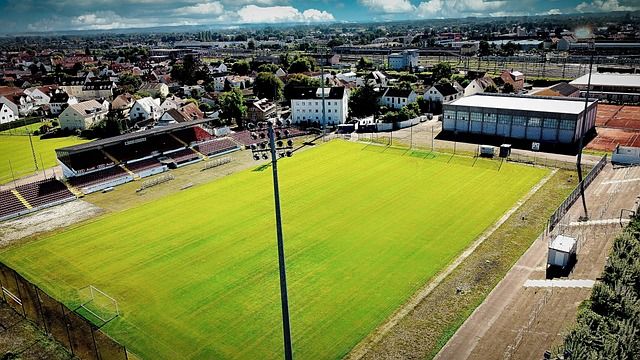 的职业态度 的职业态度